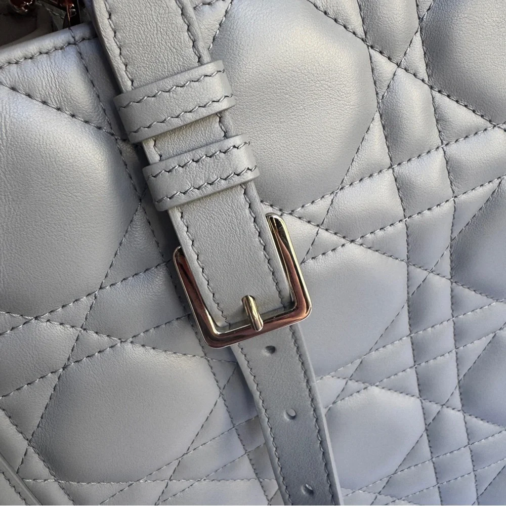 Dior christian calfskin